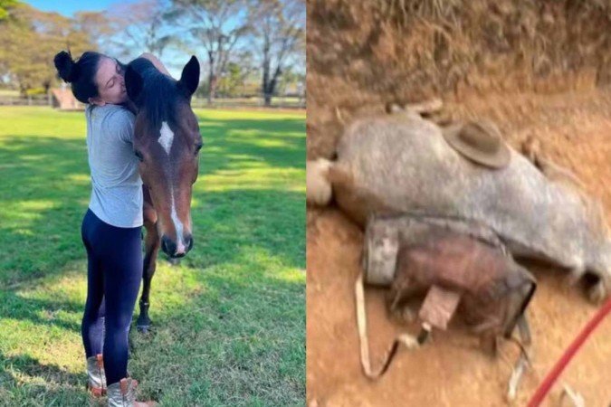Ana Castela cobra autoridades após se deparar com cavalo com patas arrancadas -  (crédito: Reprodução/Divulgação)