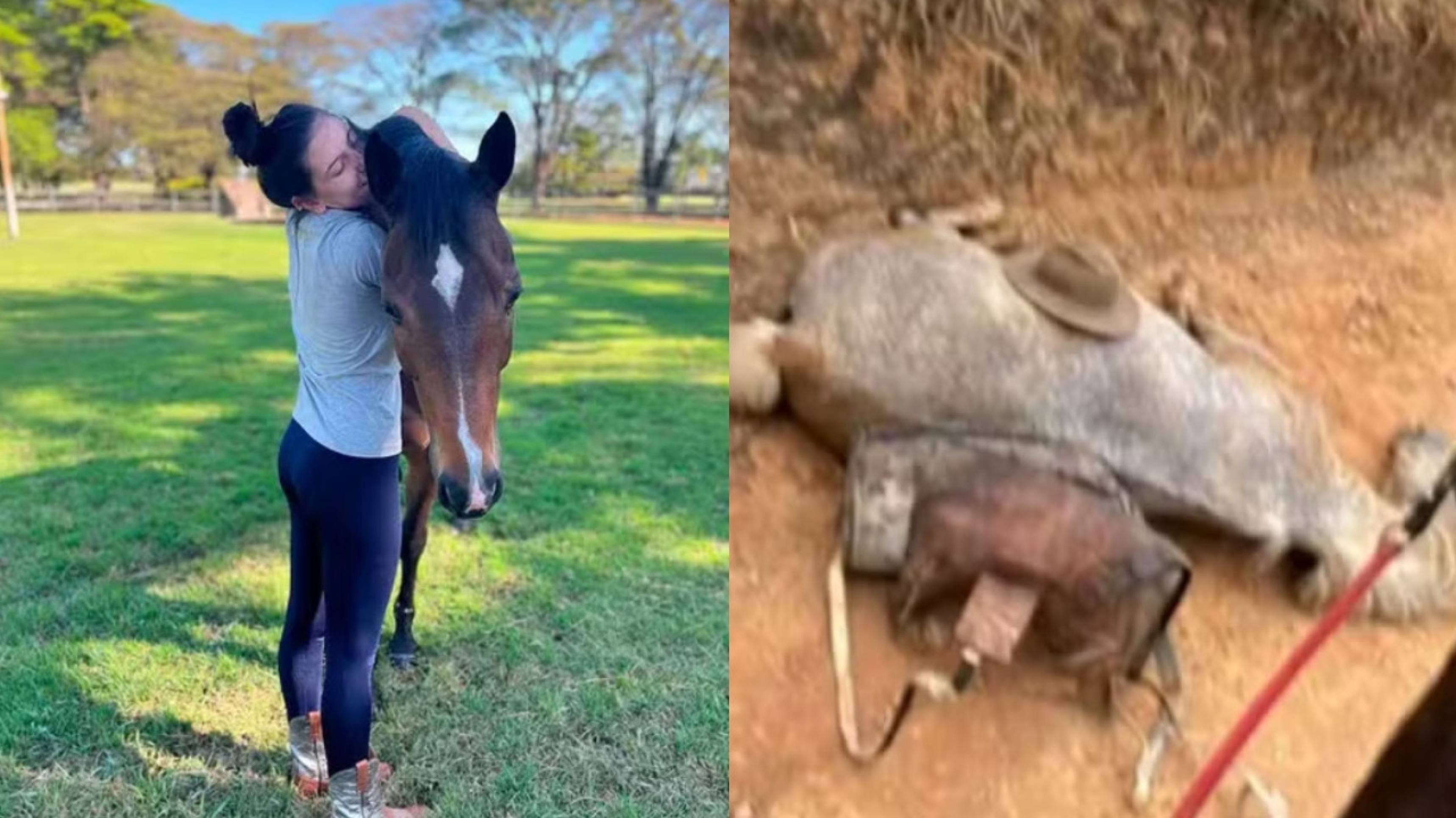 Ana Castela cobra autoridades após se deparar com cavalo com patas arrancadas