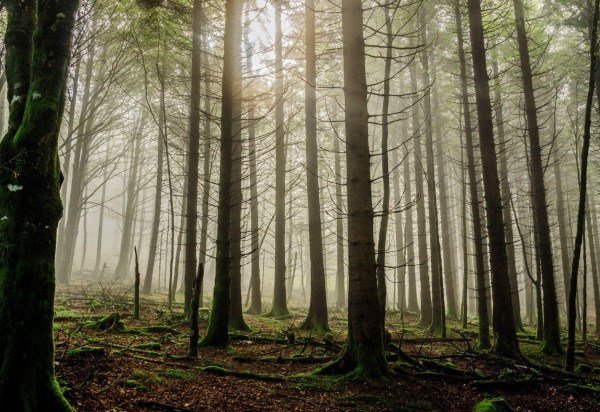 Arquivo pessoal de Maxwell Smart