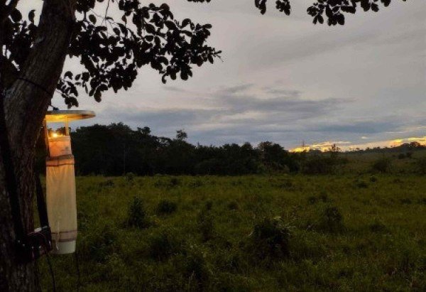 Fredy Galvis/Amazônia+10