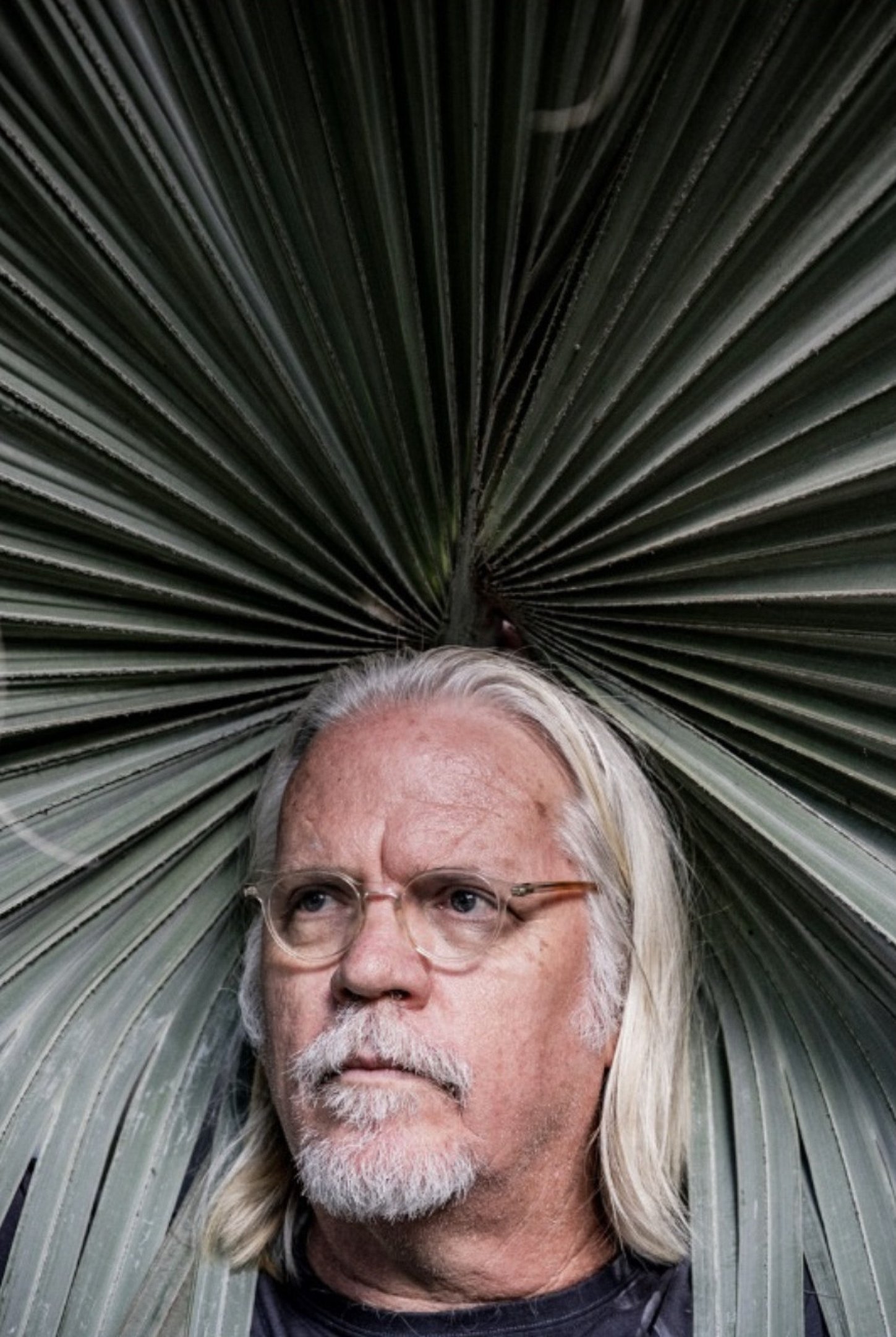 Nicolas Behr lança 'EnCerrado' no Viveiro Pau Brasil