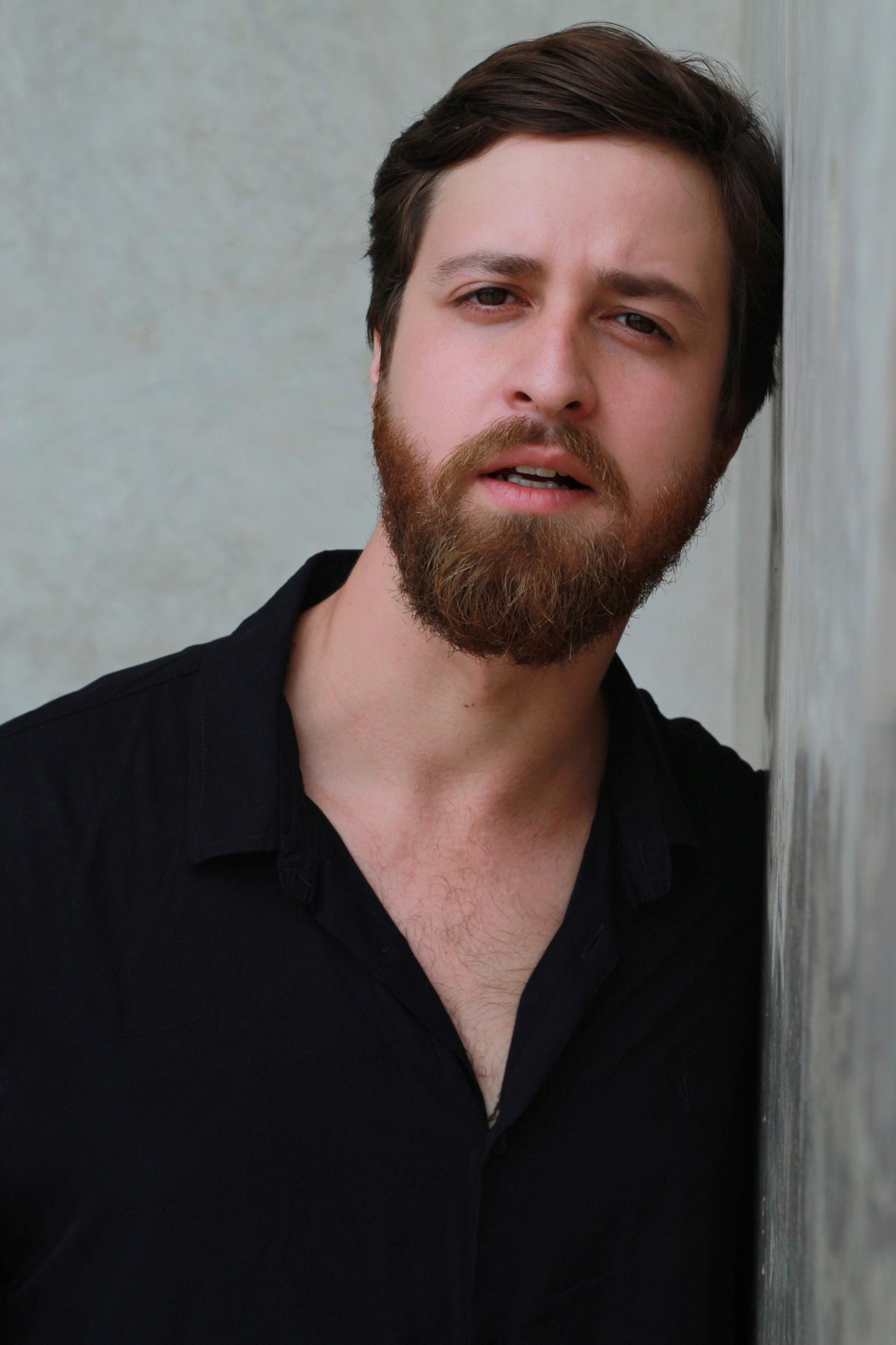 Arthur Alavarse, ator