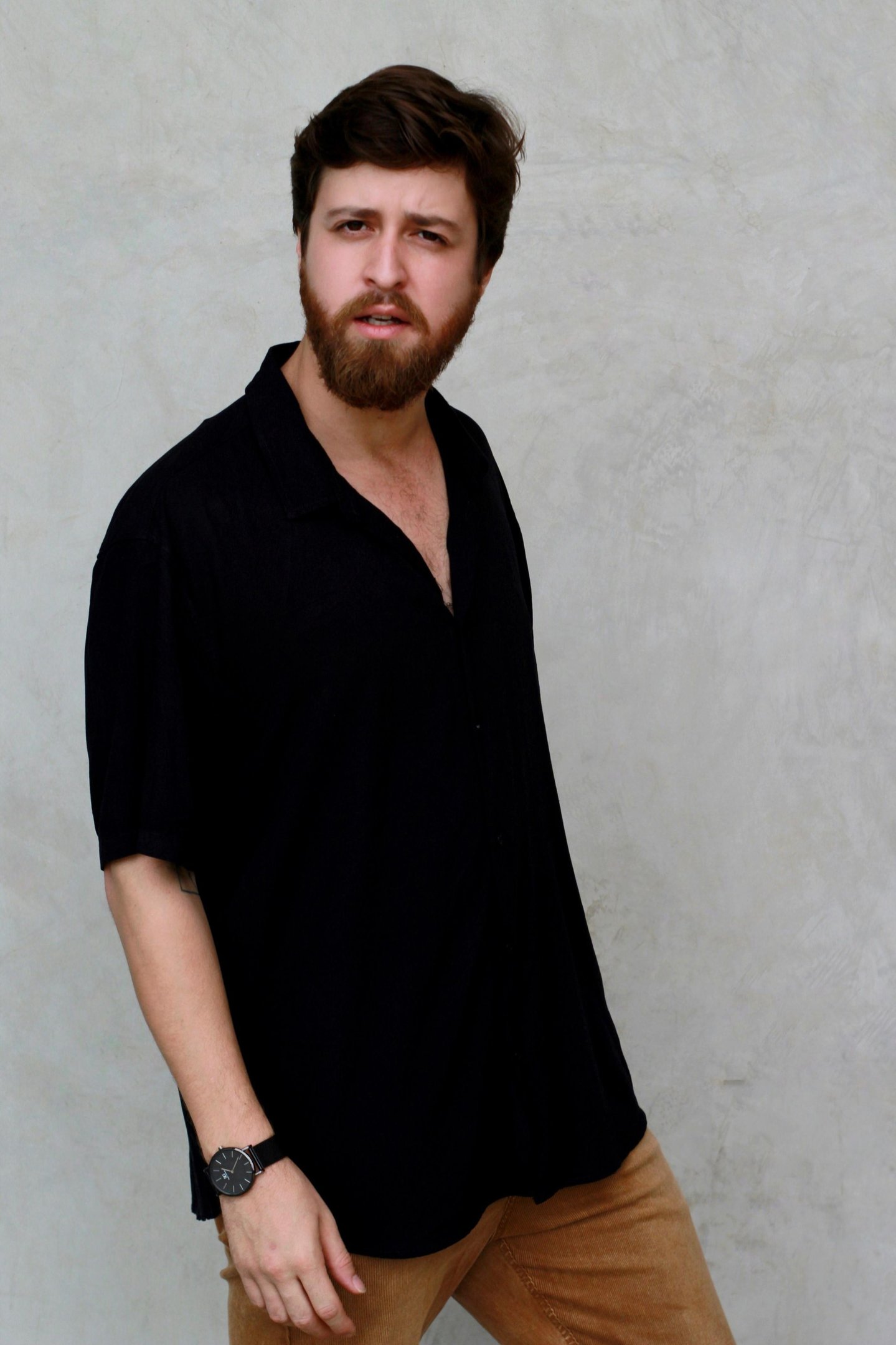 Arthur Alavarse, ator