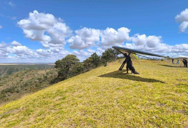Profissionais do Texto
