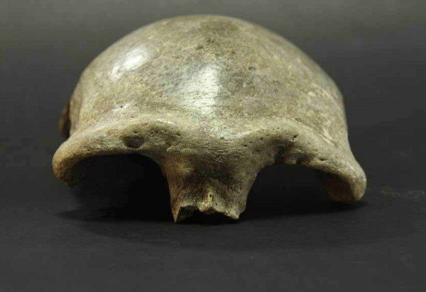 Instituto de Arqueologia Academia Mongol de Ciencias Divulgacao