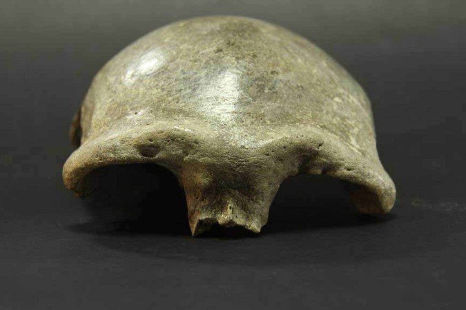 Pouco se sabe sobre a aparência dos denisovanos: maioria dos fósseis é parcial, como a calota craniana de uma mulher que viveu há mais de 30 mil anos na Ásia - (crédito: Instituto de Arqueologia Academia Mongol de Ciencias Divulgacao ) Pouco se sabe sobre a aparência dos denisovanos: maioria dos fósseis é parcial, como a calota craniana de uma mulher que viveu há mais de 30 mil anos na Ásia - (crédito: Instituto de Arqueologia Academia Mongol de Ciencias Divulgacao )