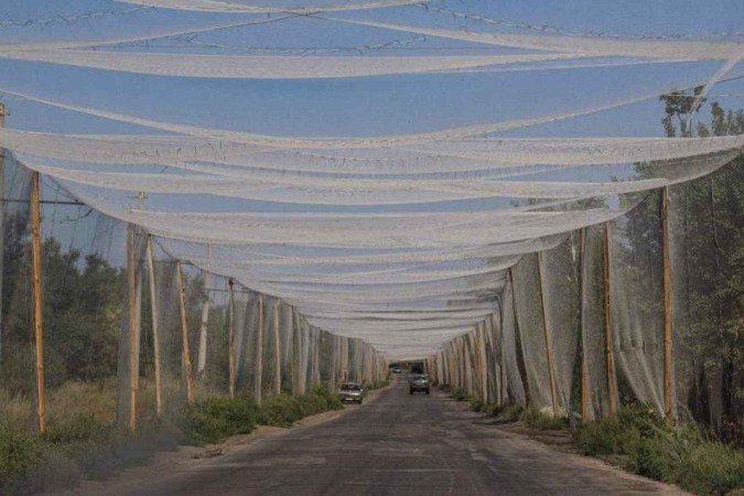 Grande parte da cidade de Chasiv Yar, na região de Donetsk, está em ruínas - (crédito: BBC) Grande parte da cidade de Chasiv Yar, na região de Donetsk, está em ruínas - (crédito: BBC)