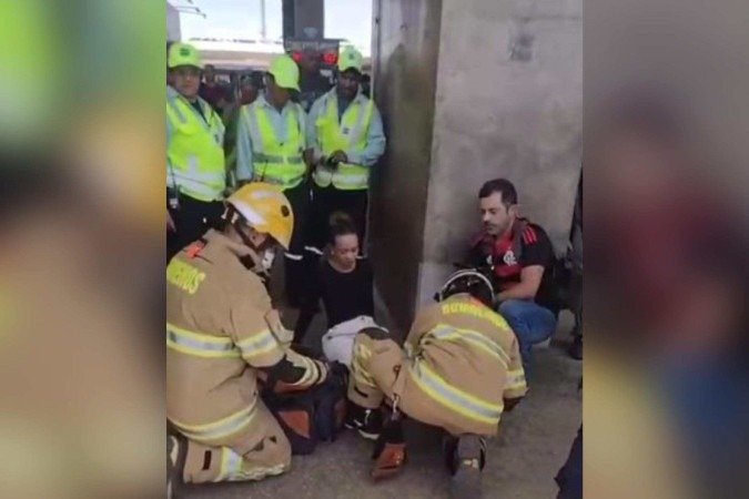 Após o atendimento e a regulação médica com o Samu, ela foi liberada e não precisou ser transportada para o hospital -  (crédito: Material cedido ao Correio)