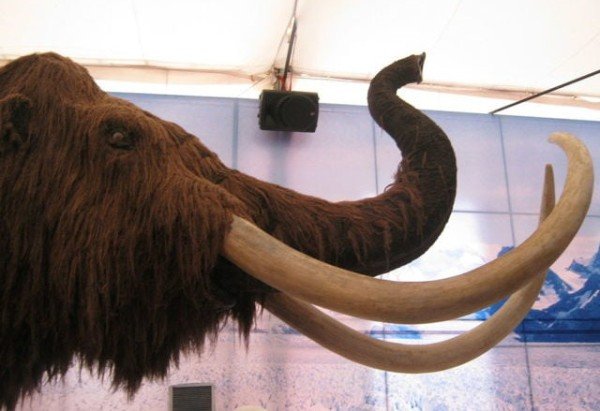 wikimedia commons Juan Velasco