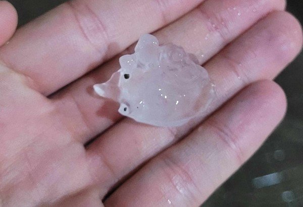 Reprodução/X/@EAmaral_Santos