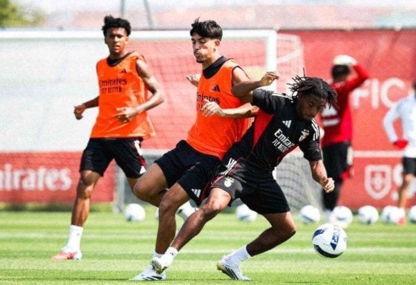 Foto: Divulgação/Benfica