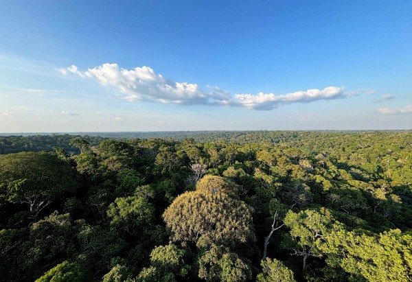 Tânia Rêgo/Agência Brasil