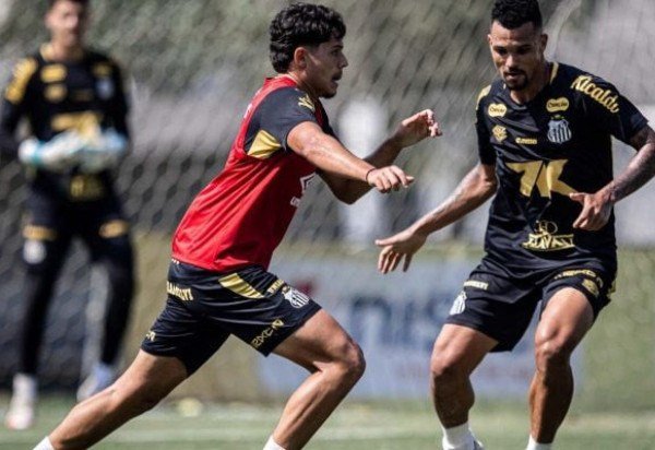 Foto: Raul Baretta/Santos FC