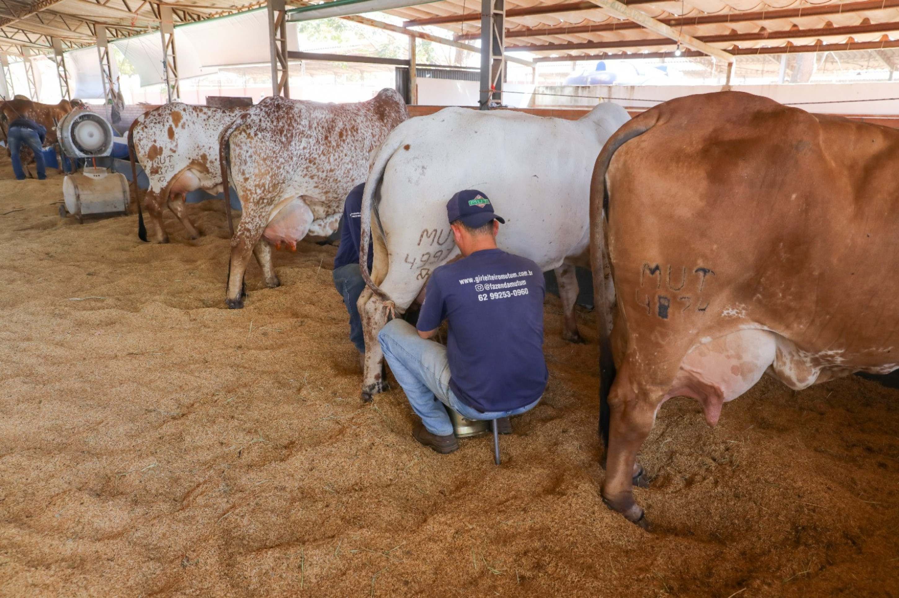 33ª edição da Expoabra traz atrações e shows musicais com entrada gratuita