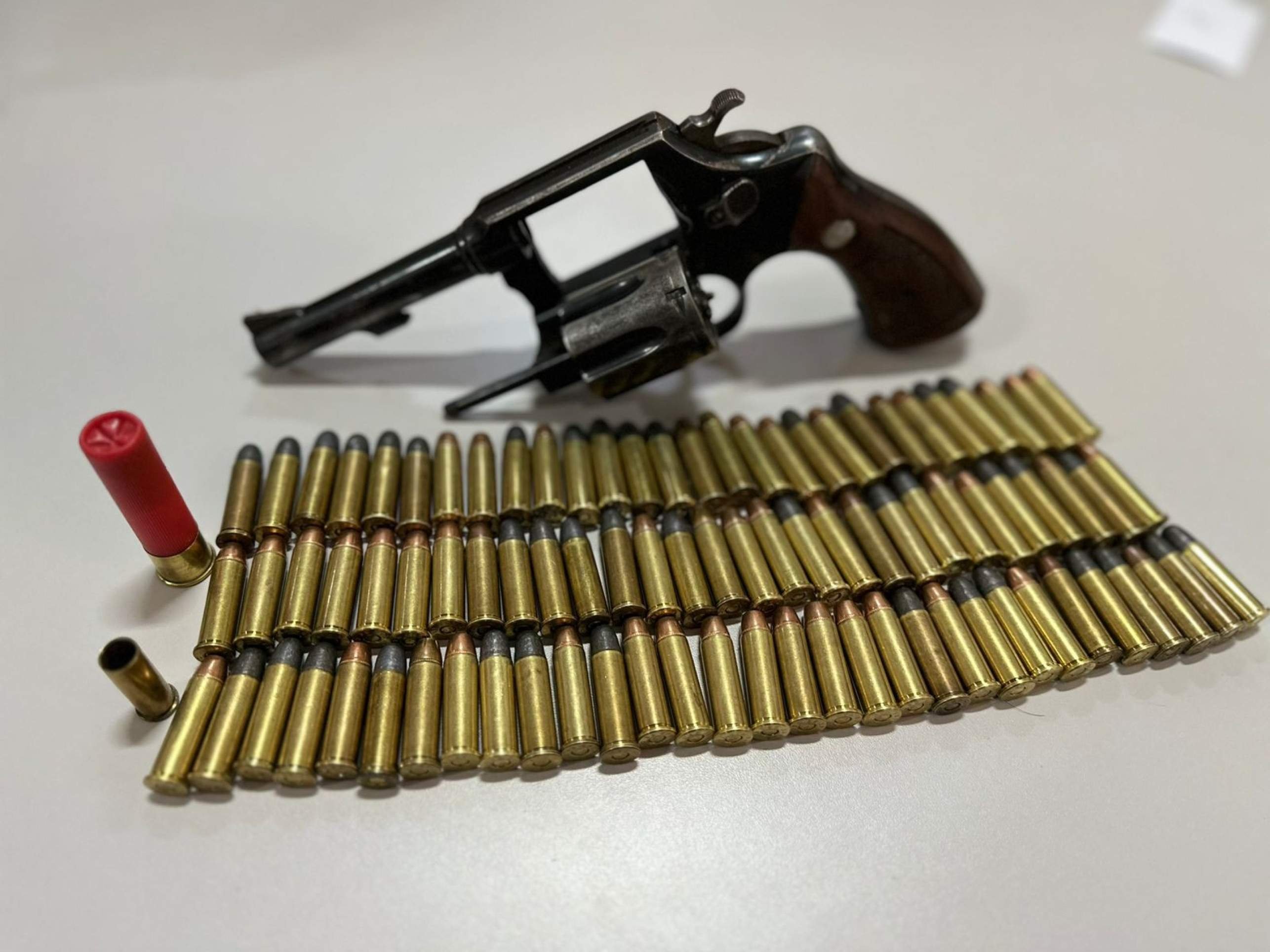 Homem é preso em investigação sobre morte de cão em Formosa (GO)