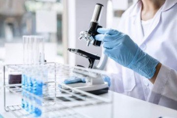 A pesquisa que indica os 107 cientistas brasileiros mais influentes do mundo, é fruto de uma parceria entre a agência Bori e a base internacional Overton - (crédito: Freepik) A pesquisa que indica os 107 cientistas brasileiros mais influentes do mundo, é fruto de uma parceria entre a agência Bori e a base internacional Overton - (crédito: Freepik)