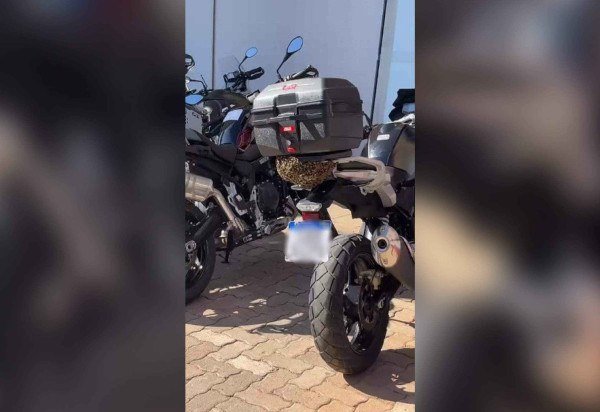 Material cedido ao Correio