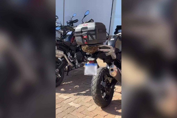 As abelhas cobriram parte da traseira da moto -  (crédito: Material cedido ao Correio)