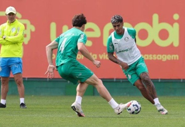 Foto: Cesar Greco / Palmeiras