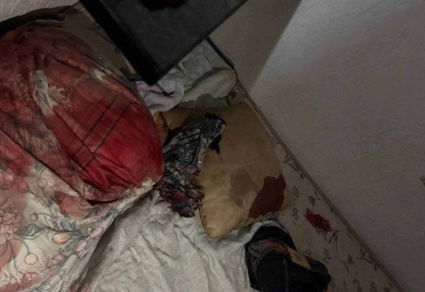 Material cedido ao Correio