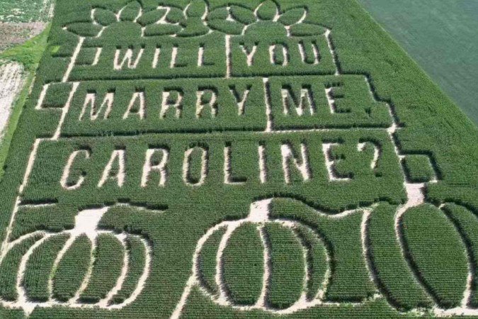 Homem transformou milharal em pedido de casamento - (crédito: Reprodução) Homem transformou milharal em pedido de casamento - (crédito: Reprodução)