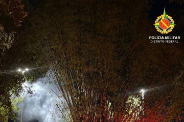 Homem é preso após incendiar bambuzal no Parque da Cidade -  (crédito: PMDF)