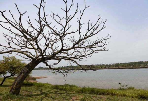 Ed Alves / CB/DaPress