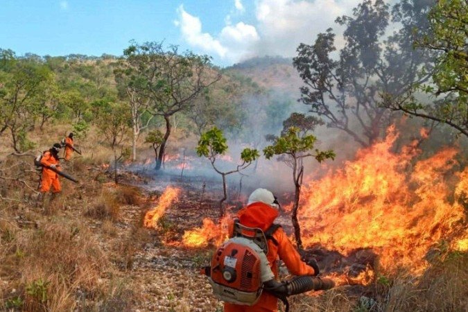 A estratégia foi elaborada em conjunto pela Semarh, o Corpo de Bombeiros Militar do Tocantins (CBMTO) e o Instituto Natureza do Tocantins (Naturatins), com ações estruturadas em três eixos: prevenção, monitoramento e combate - (crédito: Luiz Henrique Machado-Governo do Tocantins) A estratégia foi elaborada em conjunto pela Semarh, o Corpo de Bombeiros Militar do Tocantins (CBMTO) e o Instituto Natureza do Tocantins (Naturatins), com ações estruturadas em três eixos: prevenção, monitoramento e combate - (crédito: Luiz Henrique Machado-Governo do Tocantins)