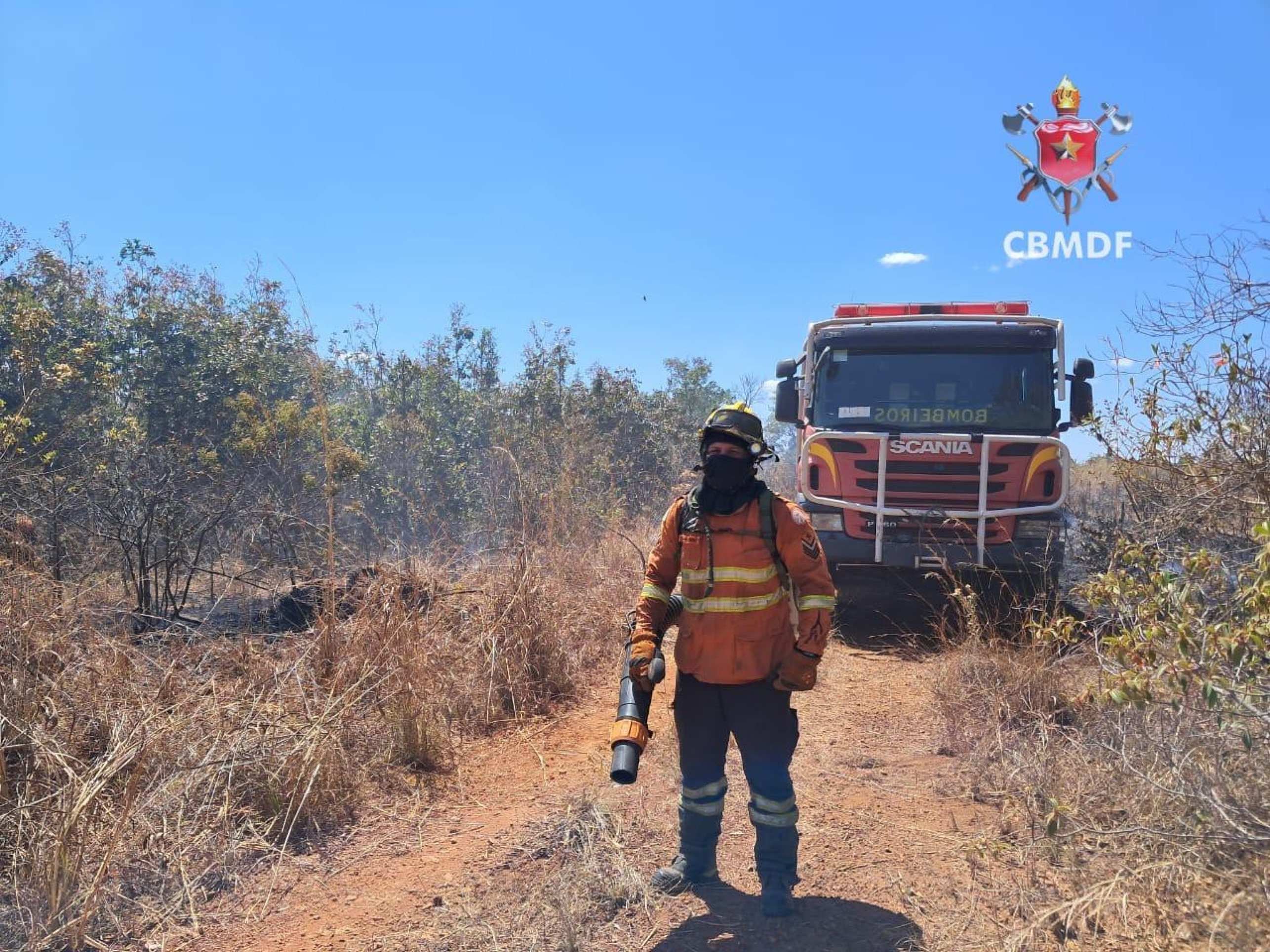 Incêndio em vegetação atinge canil de residência no Lago Sul