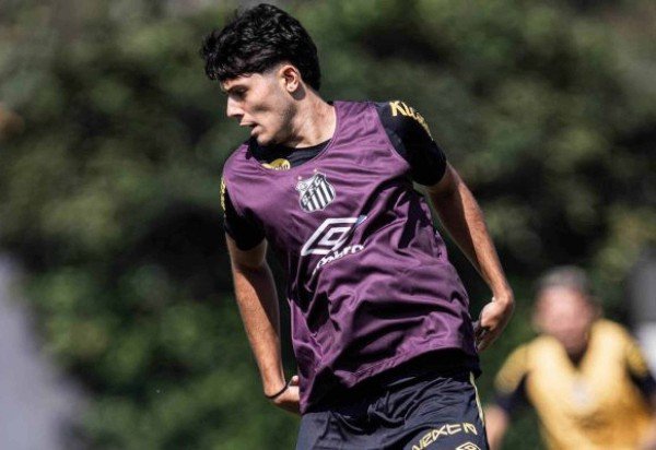 Foto: Raul Baretta/ Santos