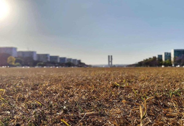 Ed Alves CB/DA Press