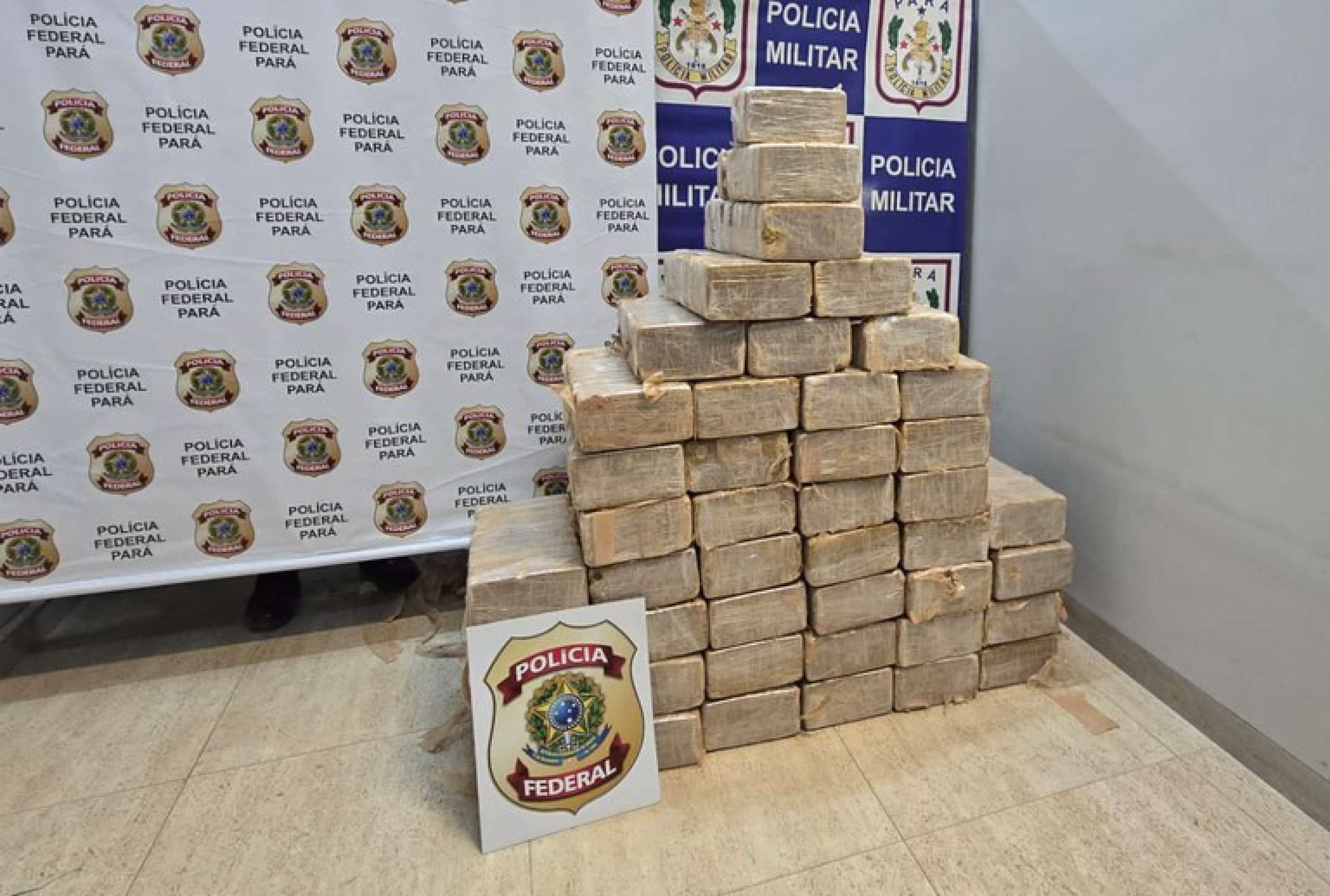 Avião com 435kg de cocaína faz pouso forçado no Pará