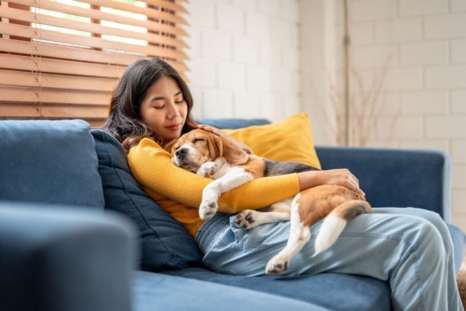 Há nomes perfeitos para cachorros tranquilos (Imagem: Hananeko_Studio | Shutterstock) - (crédito: EdiCase) Há nomes perfeitos para cachorros tranquilos (Imagem: Hananeko_Studio | Shutterstock) - (crédito: EdiCase)