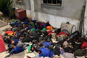 PM fecha rinha de briga de galos na Grande BH e salva 143 animais  - PMMG