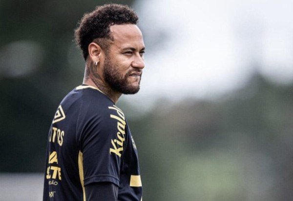 Foto: Raul Baretta/ Santos FC