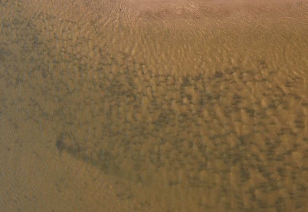 Weder Eustaquio de Oliveira