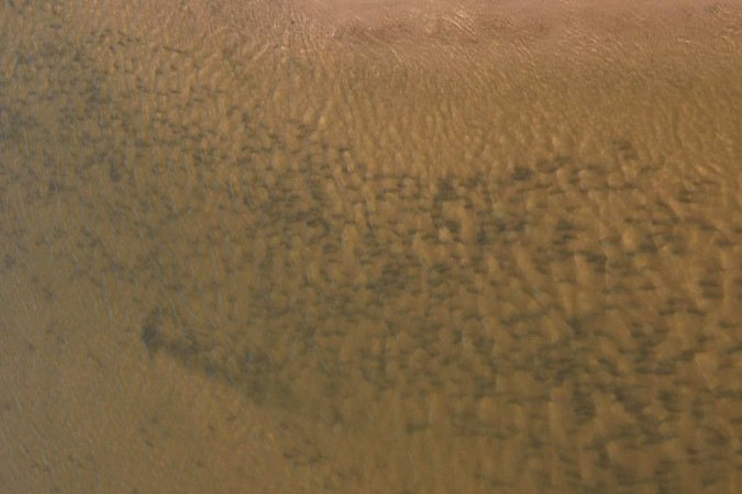 Pescador conta que já presenciou o evento outras vezes no Rio Araguaia - (crédito: Weder Eustaquio de Oliveira) Pescador conta que já presenciou o evento outras vezes no Rio Araguaia - (crédito: Weder Eustaquio de Oliveira)