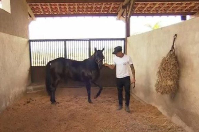 Kaio Jorge detém um haras em Gravatá e lida com uma vida extracampo mais reservada -  (crédito: Foto: Reprodução)