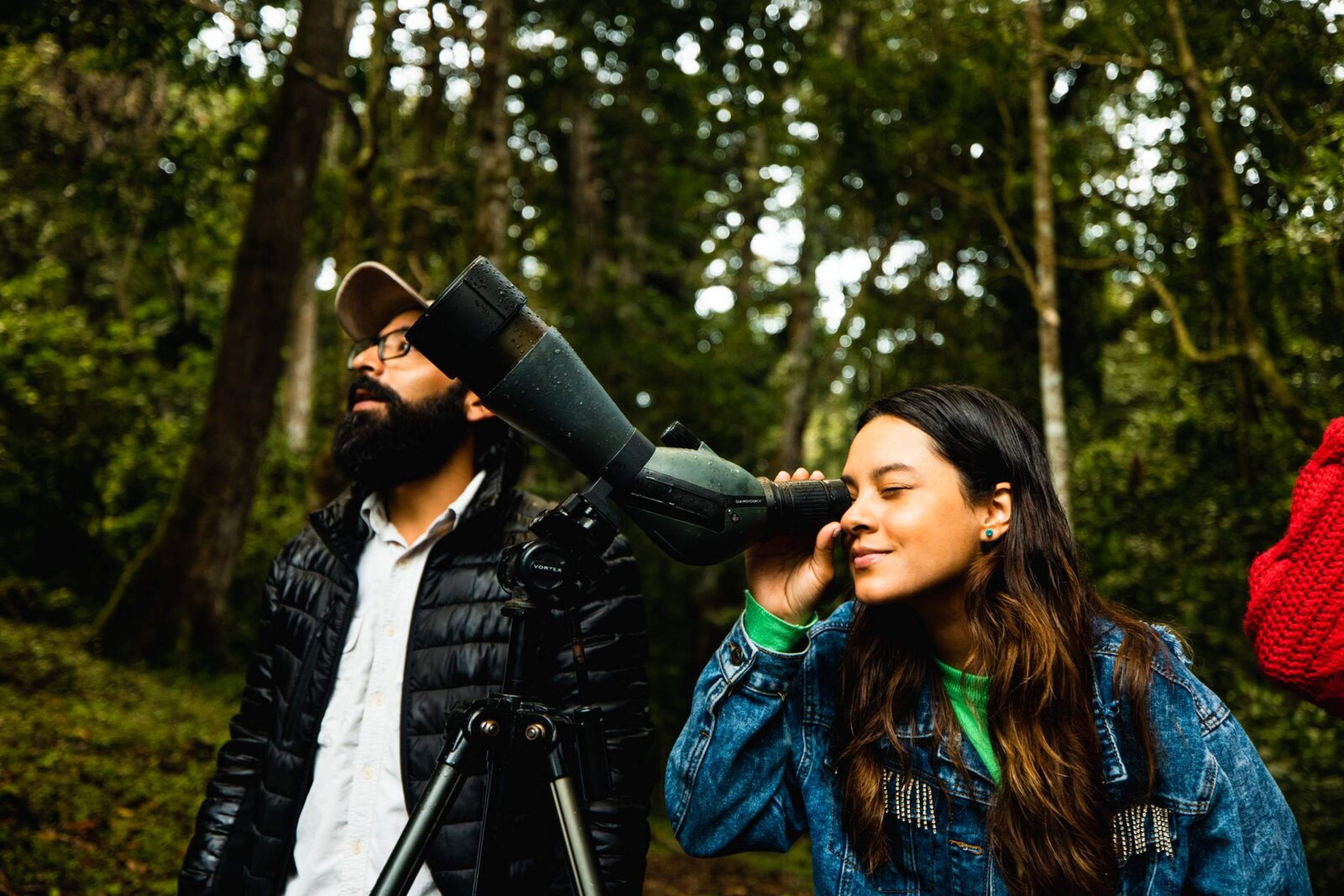O Panamá é o coração migratório de espécies marinhas e aves