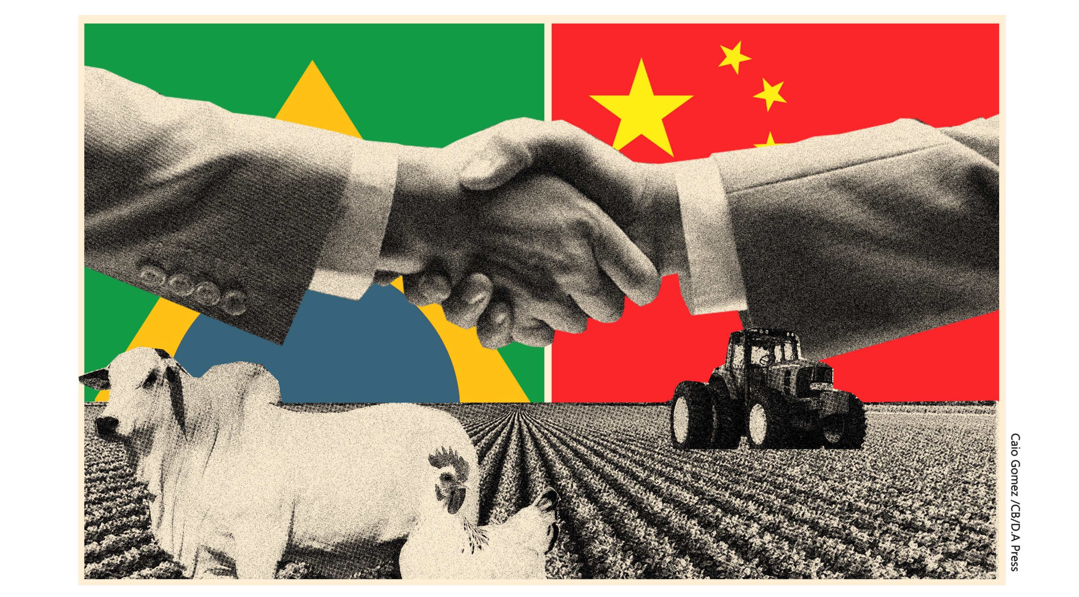Brasil-China: cooperação internacional como catalisador do agro brasileiro