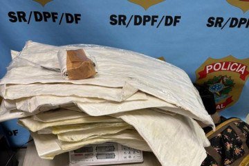 A passageira tinha como destino final a Índia -  (crédito: Reprodução/Polícia Federal)