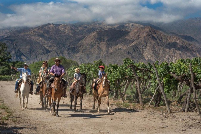 O caminho do Vinho em Salta: um passeio entre vinhedos e montanhas - (crédito: Uai Turismo) O caminho do Vinho em Salta: um passeio entre vinhedos e montanhas - (crédito: Uai Turismo)