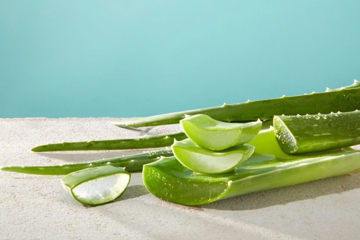 vitakraft deo fresh aloe vera Aloe Vera Stick Deodorant
