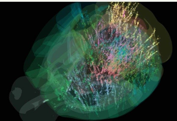 Laboratorio Internacional do Cerebro