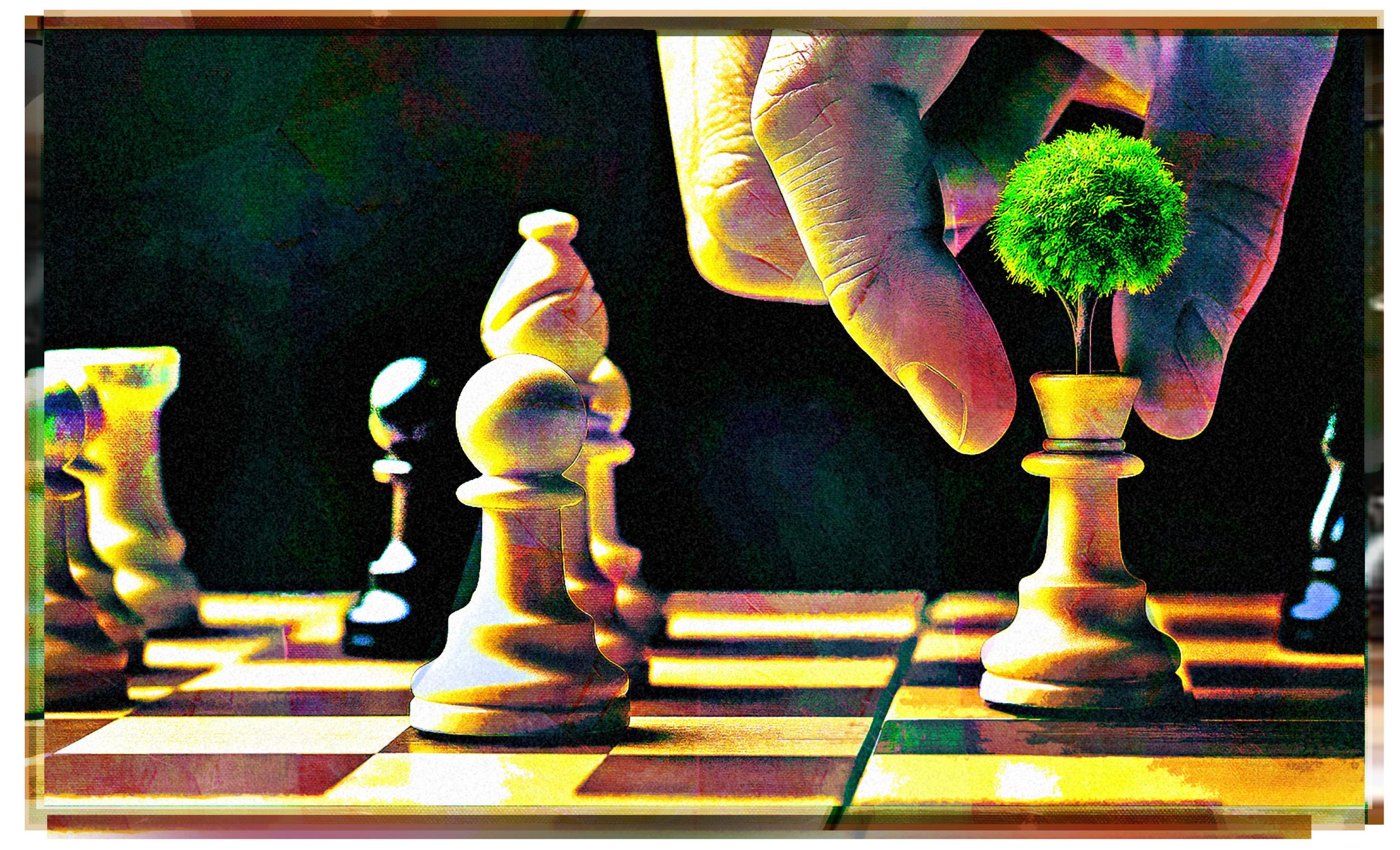 O xadrez do licenciamento ambiental