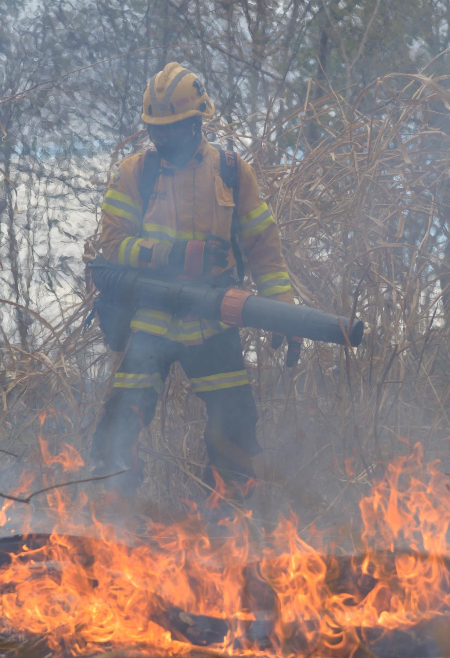 Fogo atinge área do Park Way próxima ao aeroporto