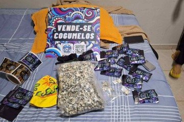 Operação Psicose: quadrilha movimentava 1,5 tonelada de drogas -  (crédito: Divulgação/Polícia Civil)