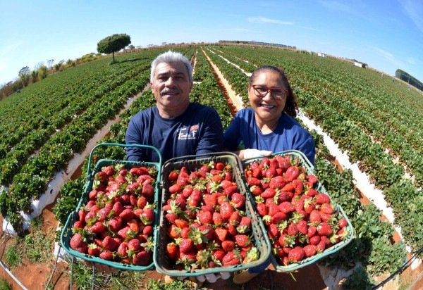 Fotos: Ed Alves CB/DA Press