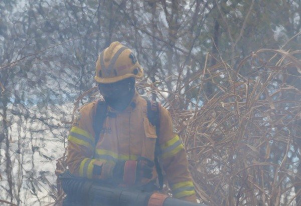 Ed Aves/CB/D.A Press