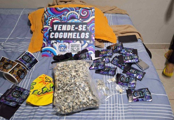 Divulgação/Polícia Civil